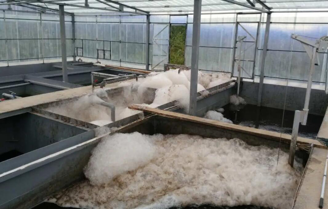 水處理消泡劑